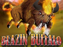 Blazin Buffalo